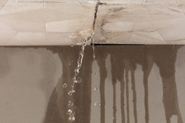 Professional Flood Damage Cleanup technician working in North Branch, MN